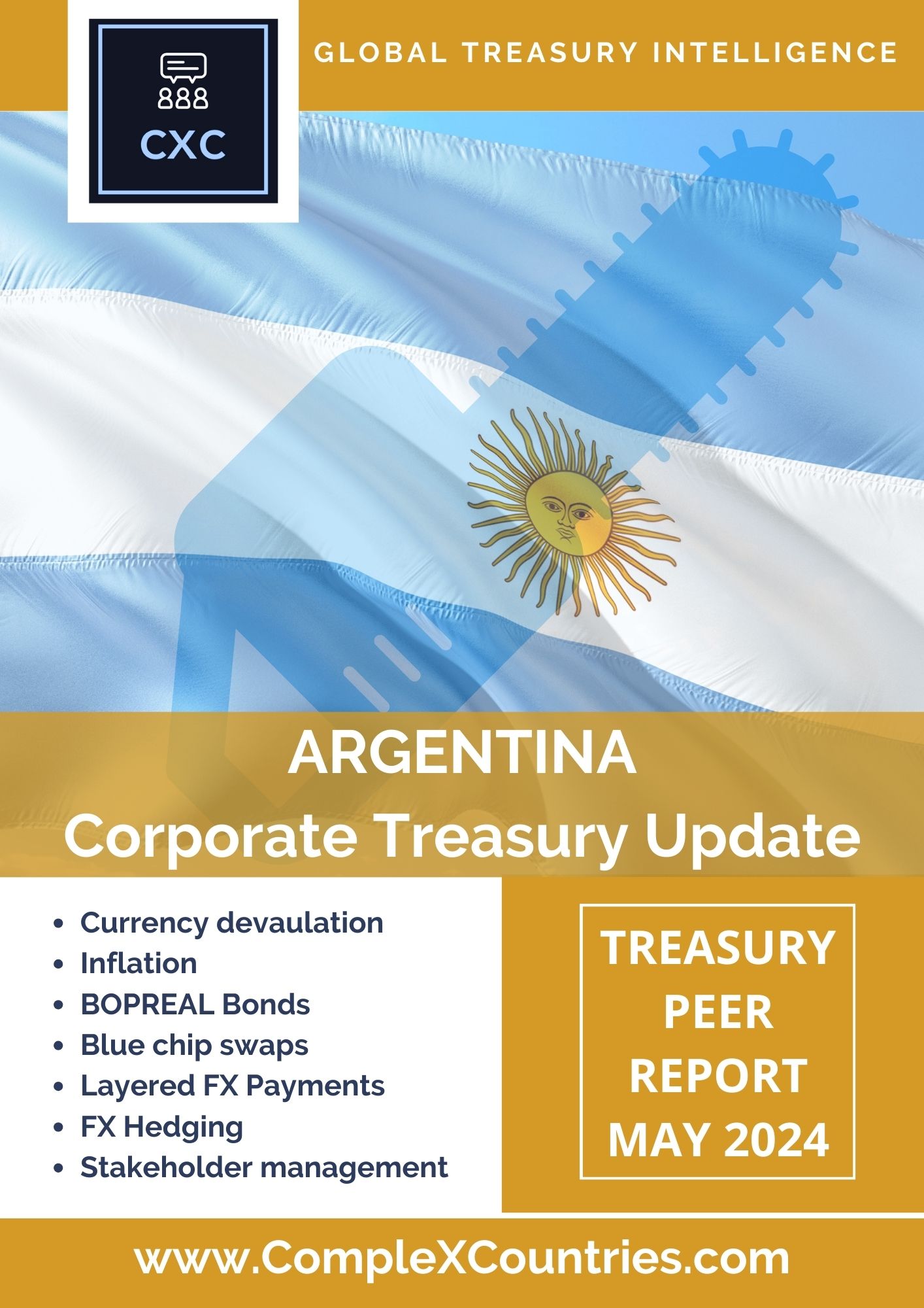 Argentina Corporate Treasury Update